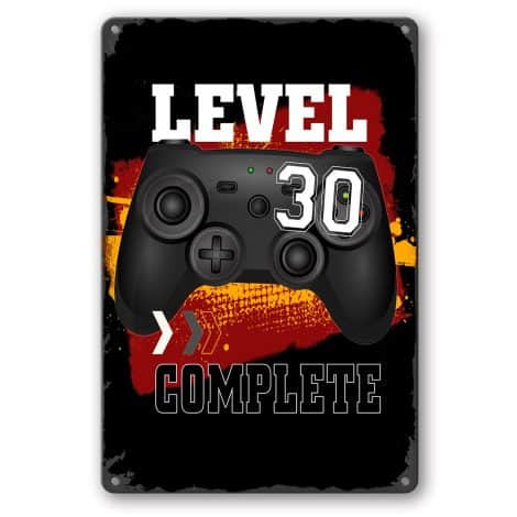 Lonmo Art Vintage Metallschild 30. Geburtstag – Lustige Dekoration für Zuhause, Garage, Bar und Gamer. 20×30 cm