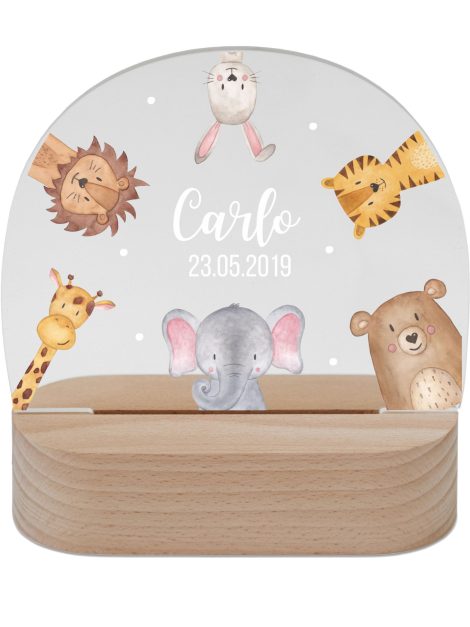 Zauberwunsch – Persönliches Nachtlicht für Babys – Einzigartige Nachtlampe für Kinder – Personalisierte Geschenke für Kinder – Babygeschenk – Geburtsgeschenk