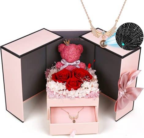 Homicozy Rose Geschenkset mit 925er Silberkette “Ich liebe dich” in 100 Sprachen, perfekt für Jubiläum, Valentinstag, Geburtstag, Weihnachten, für sie, Frau, Freundin.