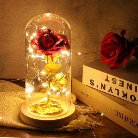 ADAZ Feminine Geschenke: Schöne Muttertagsüberraschung in Form einer ewigen Rose im Glas mit LED-Licht. Perfektes Geschenk für Freundin, Frau, Jubiläum, Weihnachten oder Valentinstag.