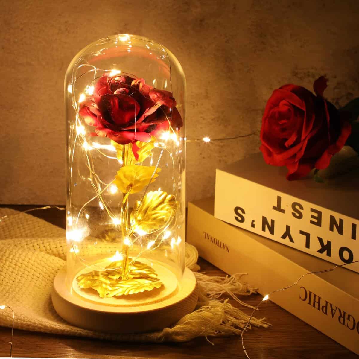 ADAZ Geschenke für Frauen, Ewige Rose im Glas mit LED-Licht,Muttertagsgeschenke für Mama Die Schöne und das Biest Rose Geschenk für Freundin Frau auf Jubiläum Weihnachten Valentinstag