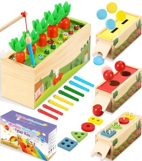 Montessori Holzspielzeug “COOLJOYA” für Kinder ab 1-3 Jahren, 5-in-1 Karotten Steckspiel, perfektes Lern- und Geschenkspielzeug für Jungen und Mädchen.